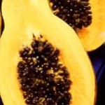 Papaya