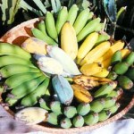 An Assortment of Bananas